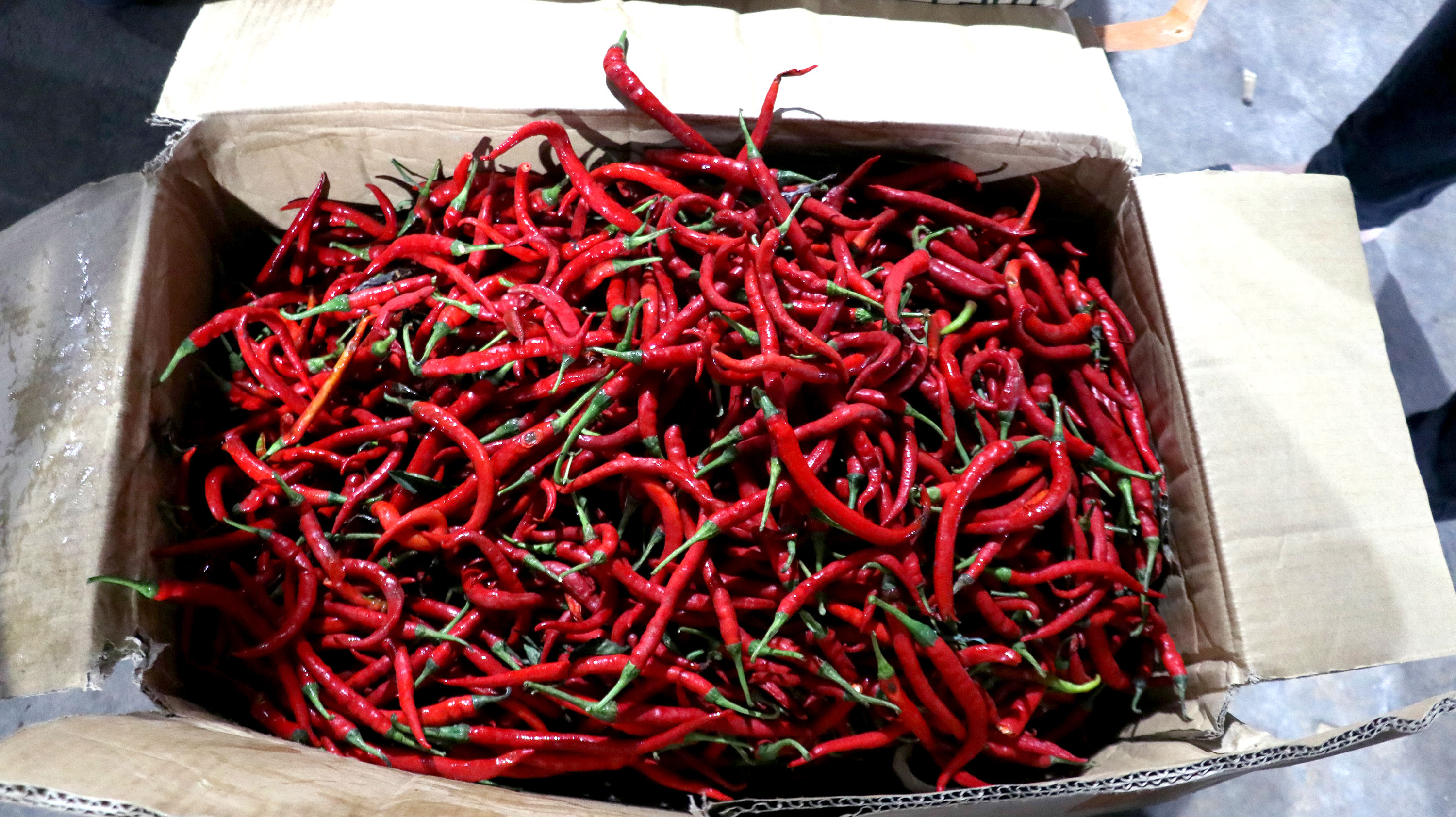 Pemprove Sumut Intervensi Pasar, Datangkan.50 Ton Cabe Merah dari Jawa
