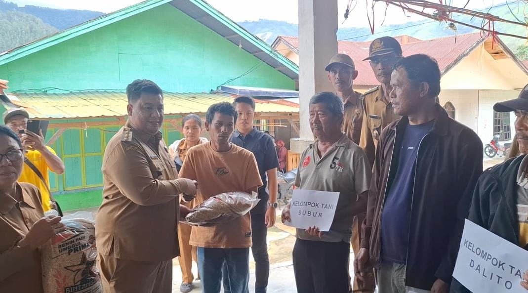 Pemkab Samosir dan Pemprov Sumut Sinergi Kuat, 12,5 Ton Bibit Padi Resmi Disalurkan