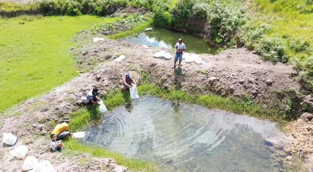 Riski Jaya Sukses Sulap Lahan Tidur menjadi Kolam Ikan Darat yang Menguntungkan