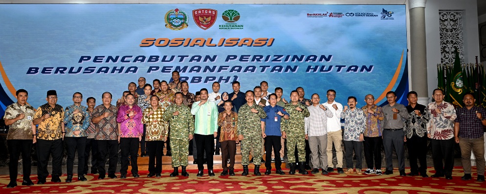 Gubsu Minta Kajian Mendalam Pencabutan Izin Hutan