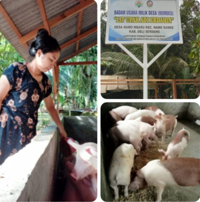 Desa Namo Mbaru Kecamatan Namo Rambe Sukses Mengelola BumDes.