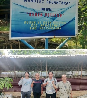 Bumdes Mandiri Sejahtera Desa Deli Tua, Sukses Pelihara Seribu Ekor Bebek Petelur