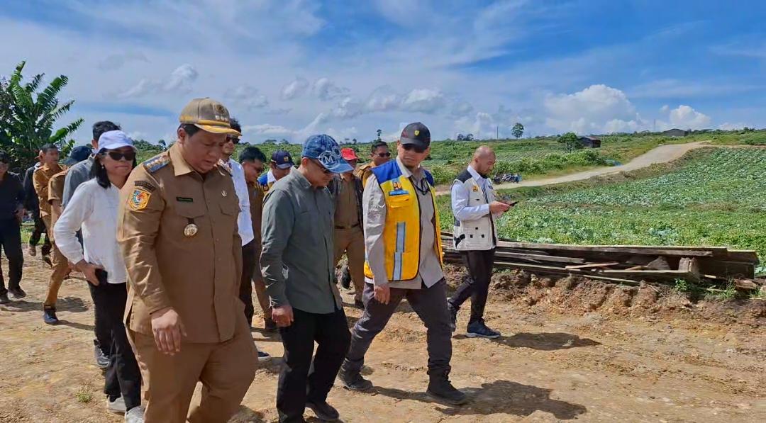 Bupati Vandiko Tinjau KPT Tele Bersama Tim, 300 Ha Siap Jadi Sentra Bawang Putih Samosir