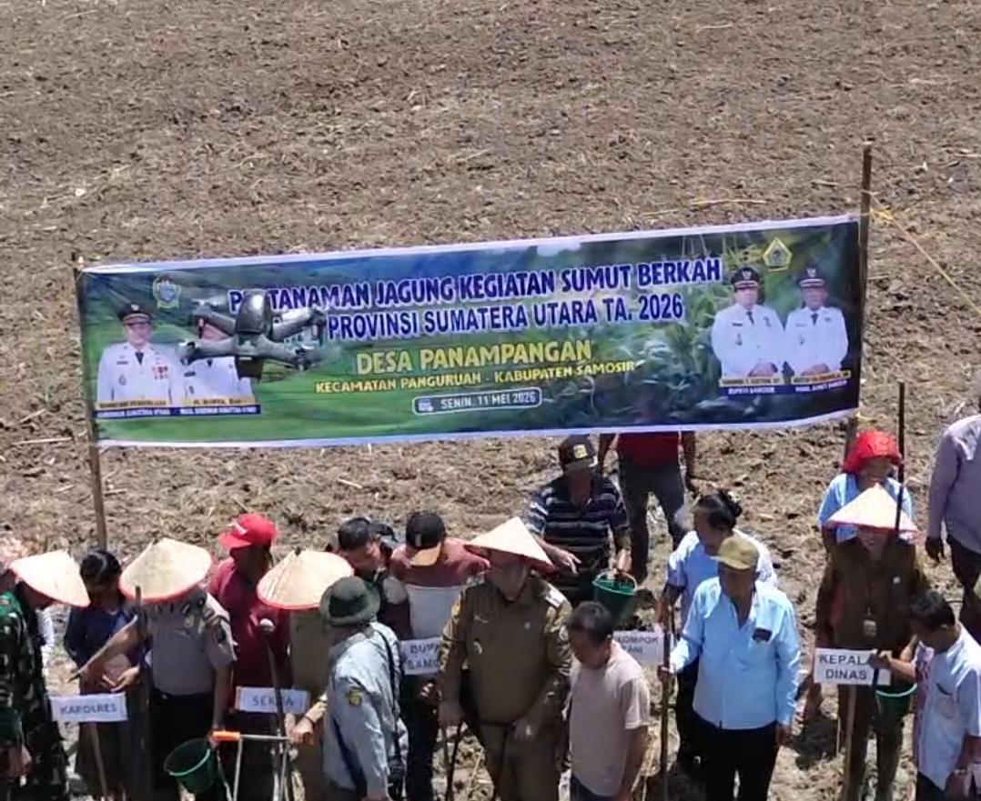 Target 400 Ton: Jagung : ‘Sumut Berkah’ Sasar 40 Ha Lahan Samosir, Petani Janji MoU Harga Rp5.500/Kg
