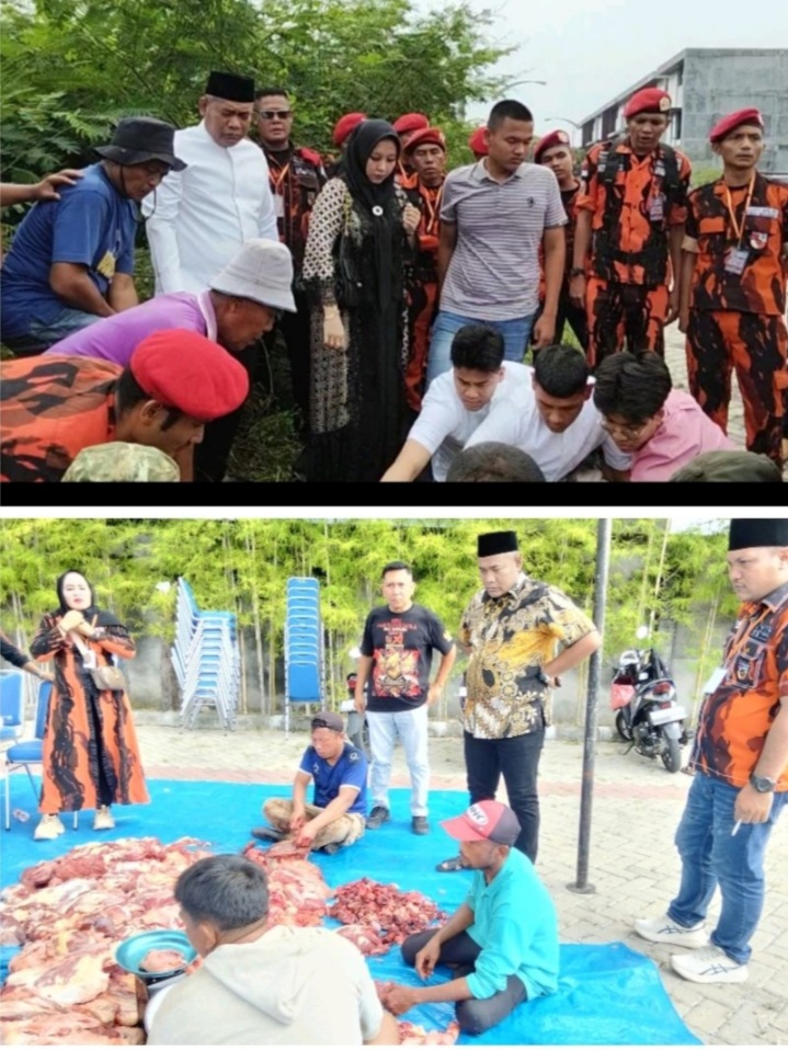 Pemuda Pancasila Deli Serdang Sembelih 9 Hewan Kurban