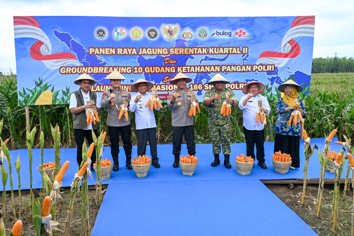 Wagub Surya Hadiri Panen Raya Jagung Serentak