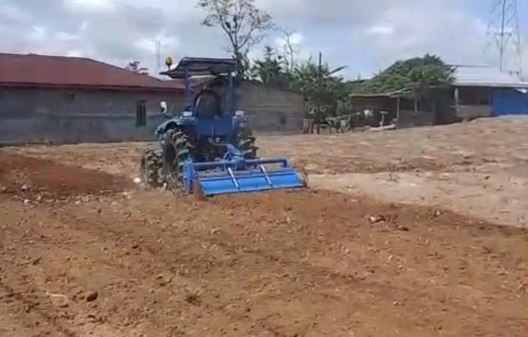 Gaspol! Petani Samosir,  Olah 5 Hektare Bawang Putih Pakai Traktor Bantuan Kementan