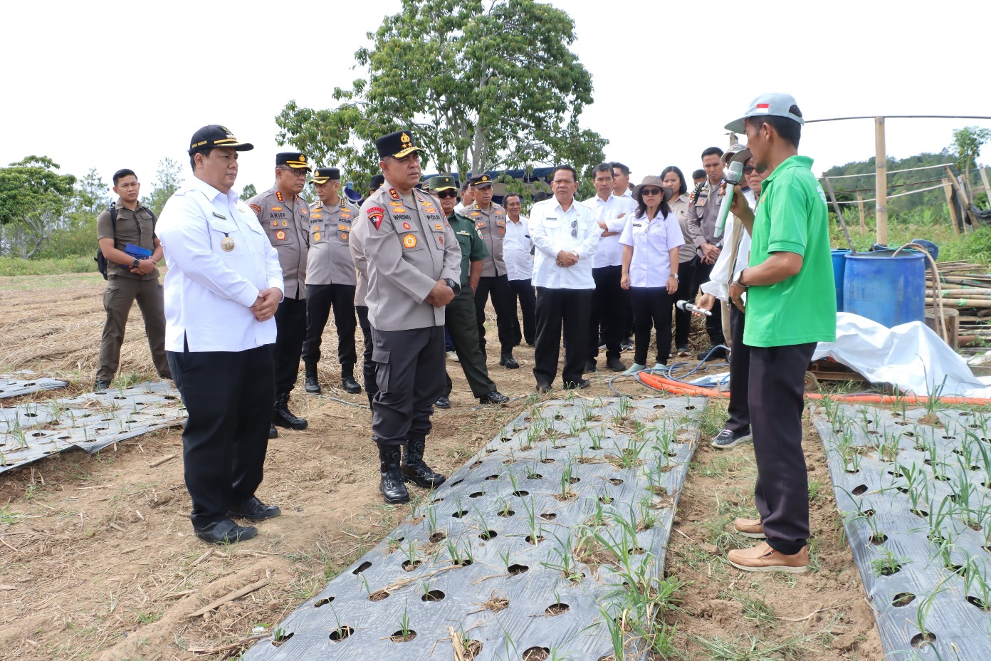 Dukung Swasembada Pangan, Bupati Samosir & Kapolda Sumut Tinjau Lahan Bawang Putih Simanindo