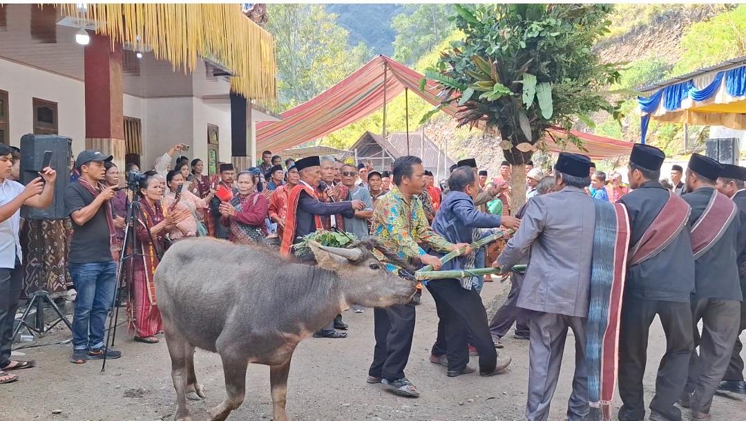 Jaga Warisan Leluhur! Inilah Penjelasan Panuturi adat : Mangompoi Tonga Ni Bagas…