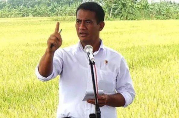Mentan: Pendapatan Petani Tumbuh Lebih Cepat dari Biaya Produksi