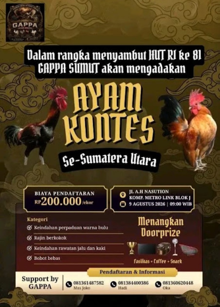Kebal Hukum Serta Sudah Viral, Arena Sabung Ayam Berkedok Kontes Di Medan Johor Bebas Beroperasi.